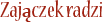 Zaj�czek radzi