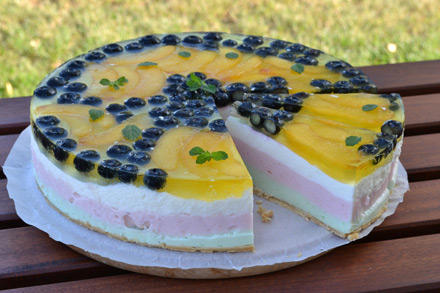 kolorowy sernik na zimno z borówkami